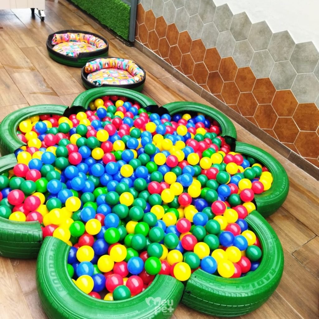 creche para animais